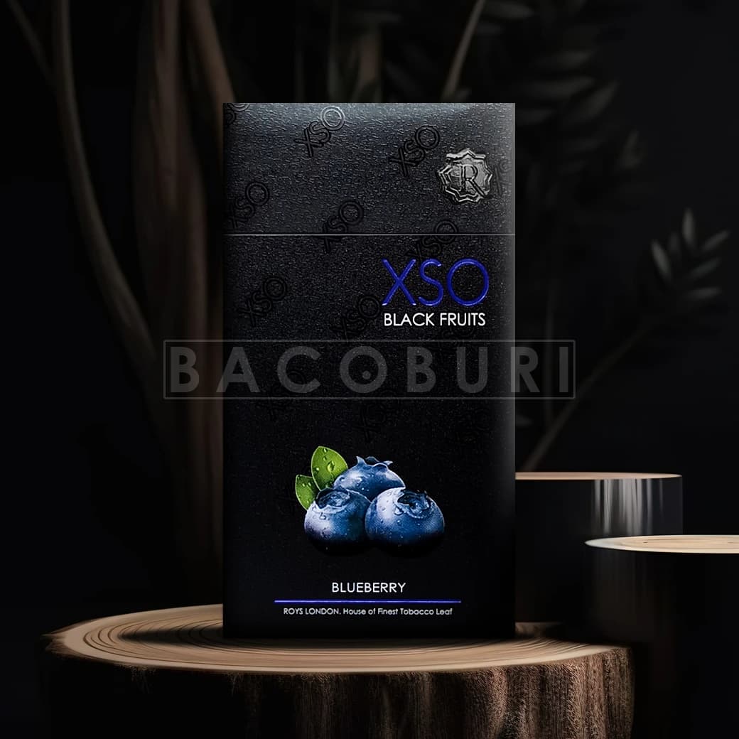 XSO Blueberry