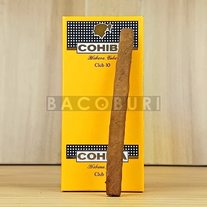 cohiba club 10s แบบกล่องและมวน