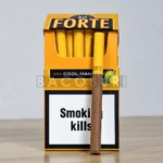 Forte Cool Mango