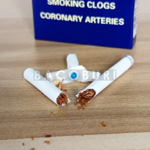 บุหรี่ JN Blueberry รายระเอียดใบยา