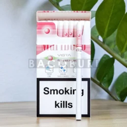 Marlboro Vista Forest Mist