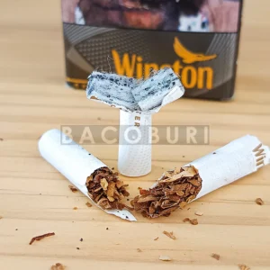 winston caster ตัวกรองชาโคล