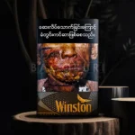 Winston Caster