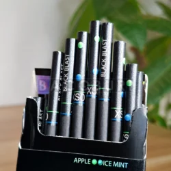 XSO Apple Ice Mint ตัวมวนสีดำ